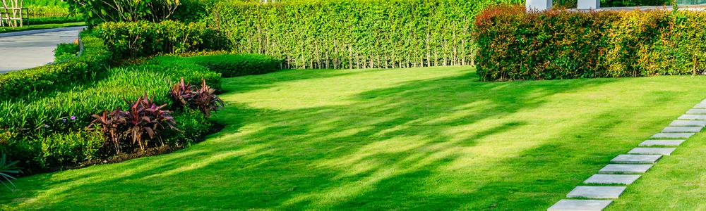 Weaver Landscape photo 3